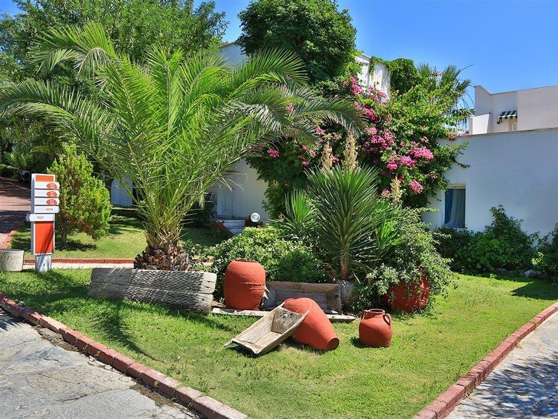 Rexene Resort