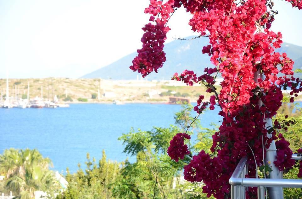 Rexene 4* Bodrum